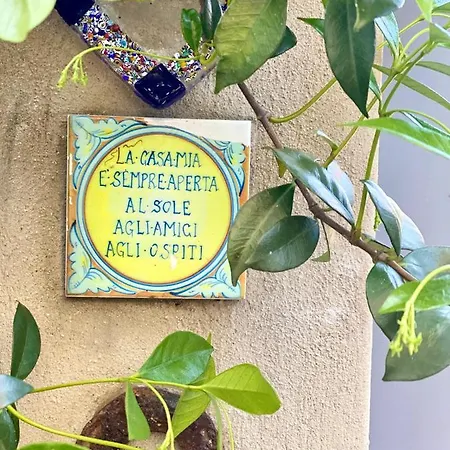 Casa Luba Pensión *